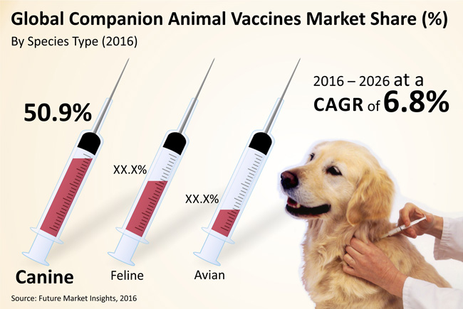 Companion Animal Vaccines Market – Global Industry Analysis, Size and